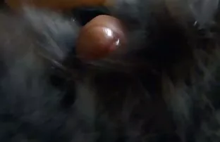 XXX クルーガーパークでダイアナアウトドア 女性 器 エロ 動画