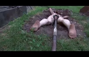 XXX 華やかなアジアの十代が犯さ アダルト av 女性