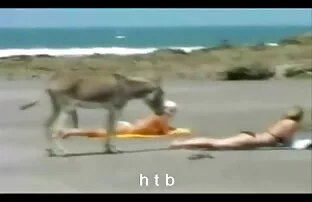 XXX 千枚通し中出しクリスマス エロ 動画 無料 女 向け