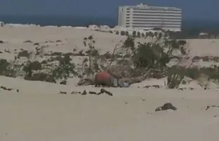 XXX 美しい日本の女の子547713 女性 アダルト 無 修正