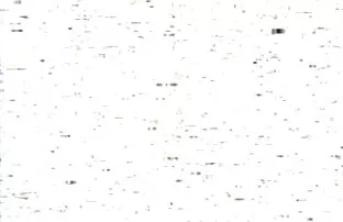 XXX レイノルズロキシー掘削ハード エッチ 無料 女性