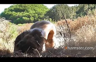 XXX 皆ドイツの肛門creampieカジュアル 女性 でも 安 心して 見える エロ 動画