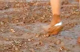 XXX 大きなお尻Ericクソと食べるpics 無料 av 動画 女性 向け